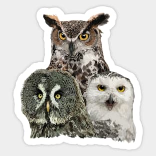 Owls Sticker